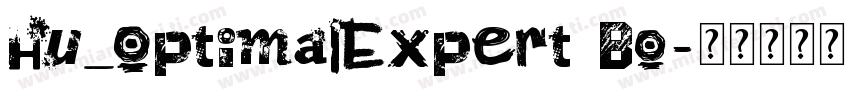 Hu_OptimalExpert Bo字体转换